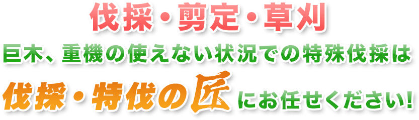 伐採・剪定・草刈 巨木、重機の使えない状況での特殊伐採は伐採・特伐の匠にお任せください!