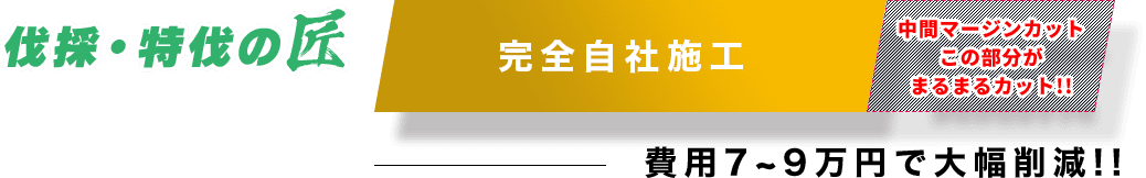 伐採・特伐の匠