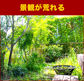 景観が荒れる